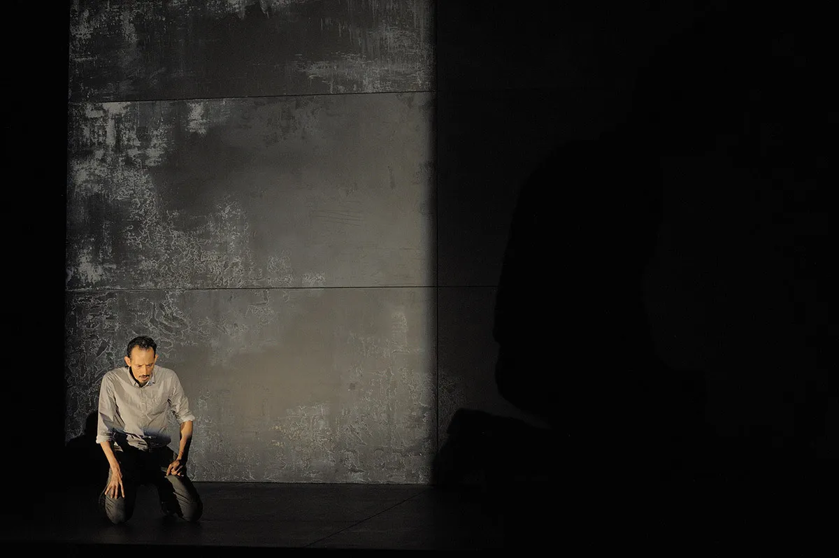 Les spectacles d'arts de la scène qui ont marqué 2017