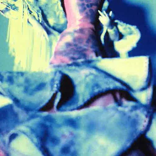 Les muses orphelines