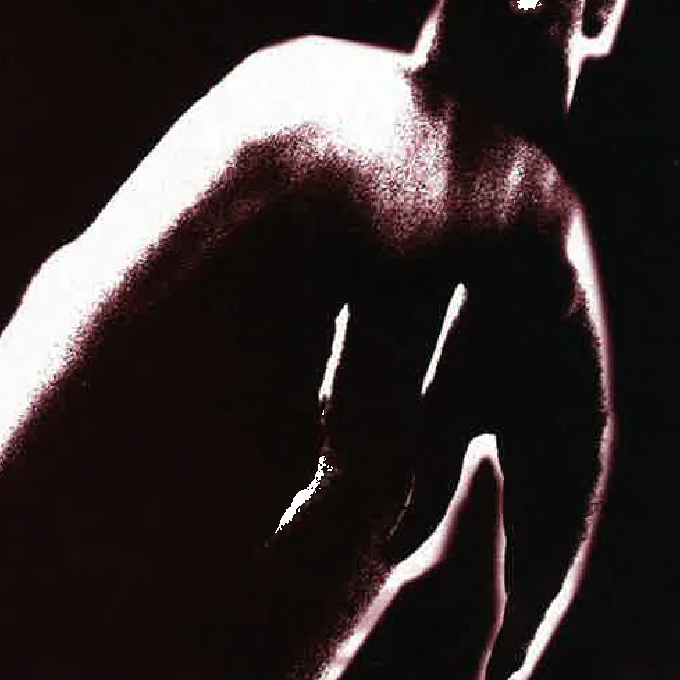 Quand le vautour danse