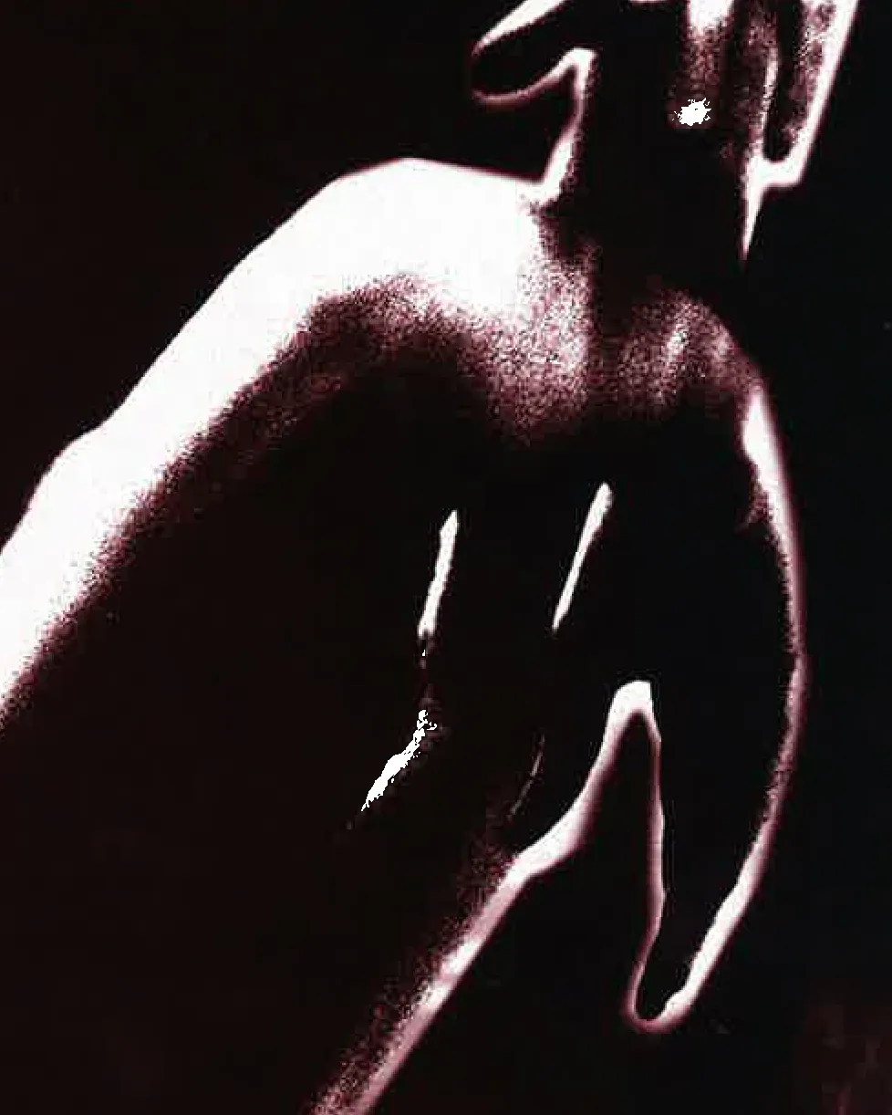 Quand le vautour danse