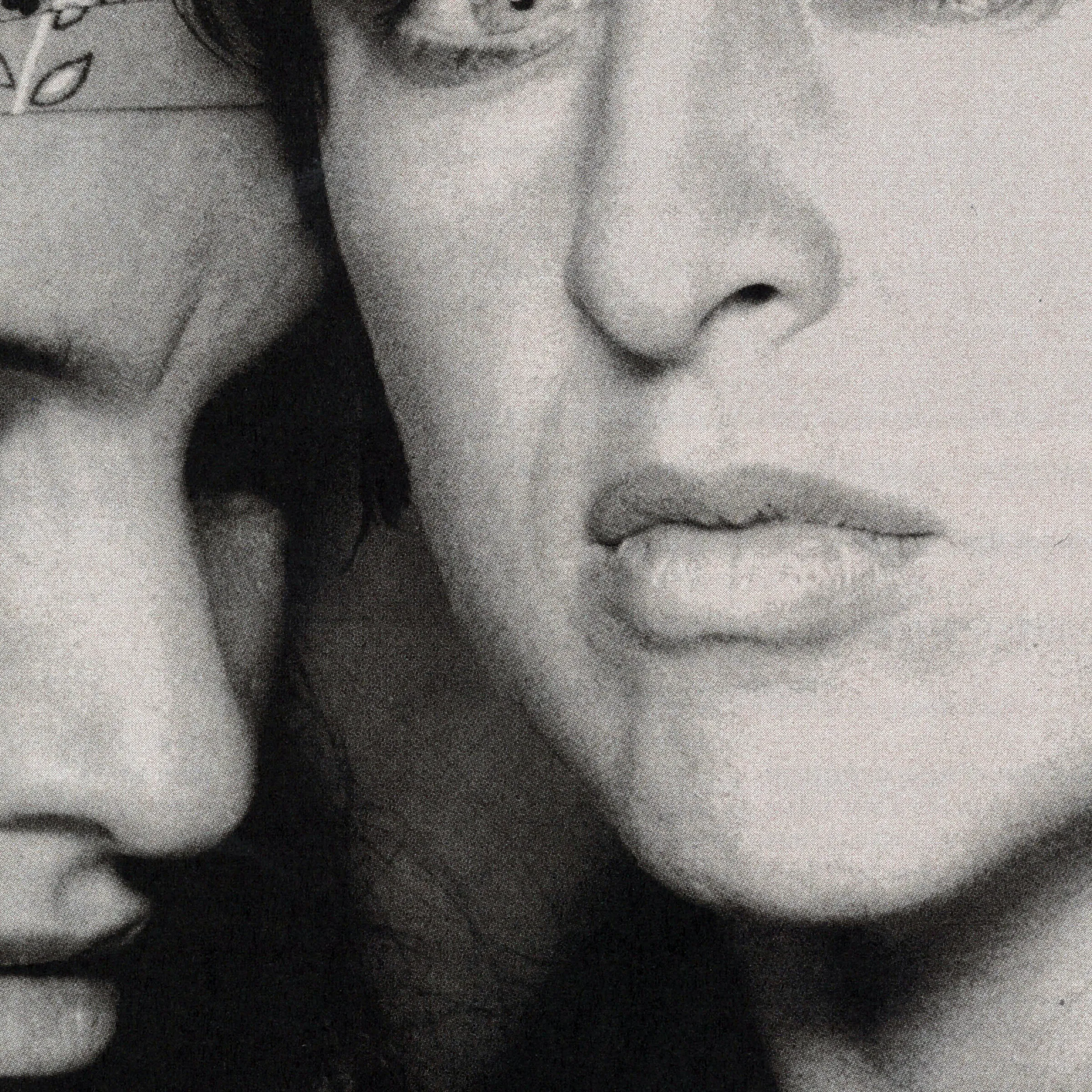 Le langue-à-langue des chiens de roche