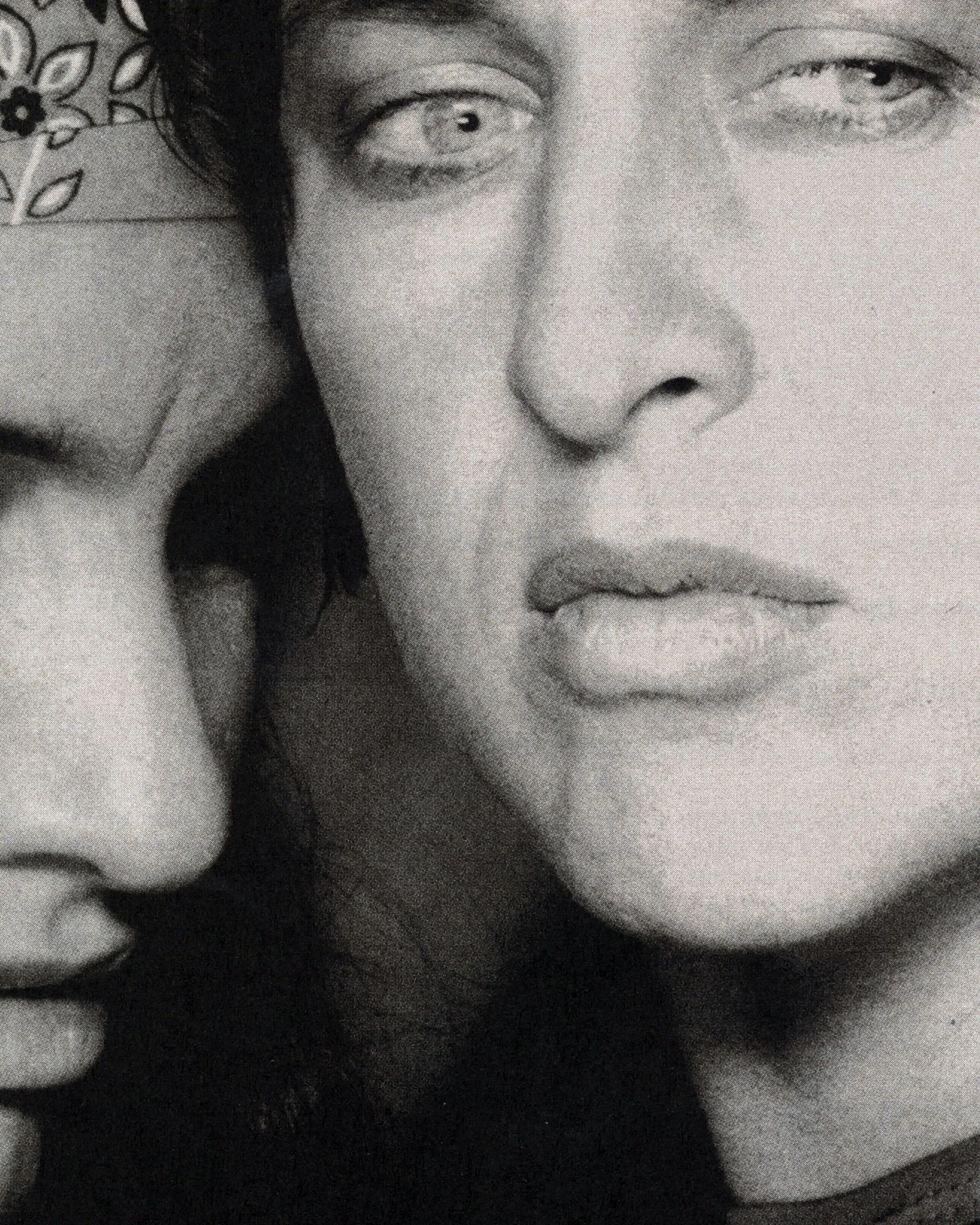 Le langue-à-langue des chiens de roche