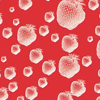 Des fraises en janvier