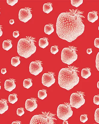 Des fraises en janvier