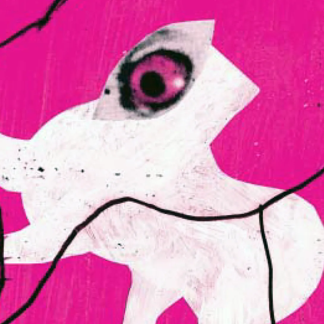 Blue Bayou, la maison de l’étalon