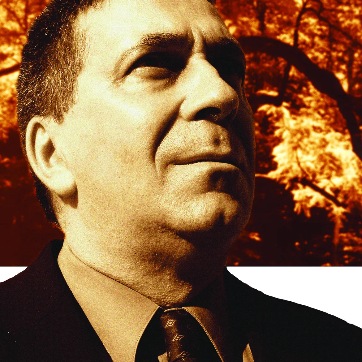 Lentement la beauté