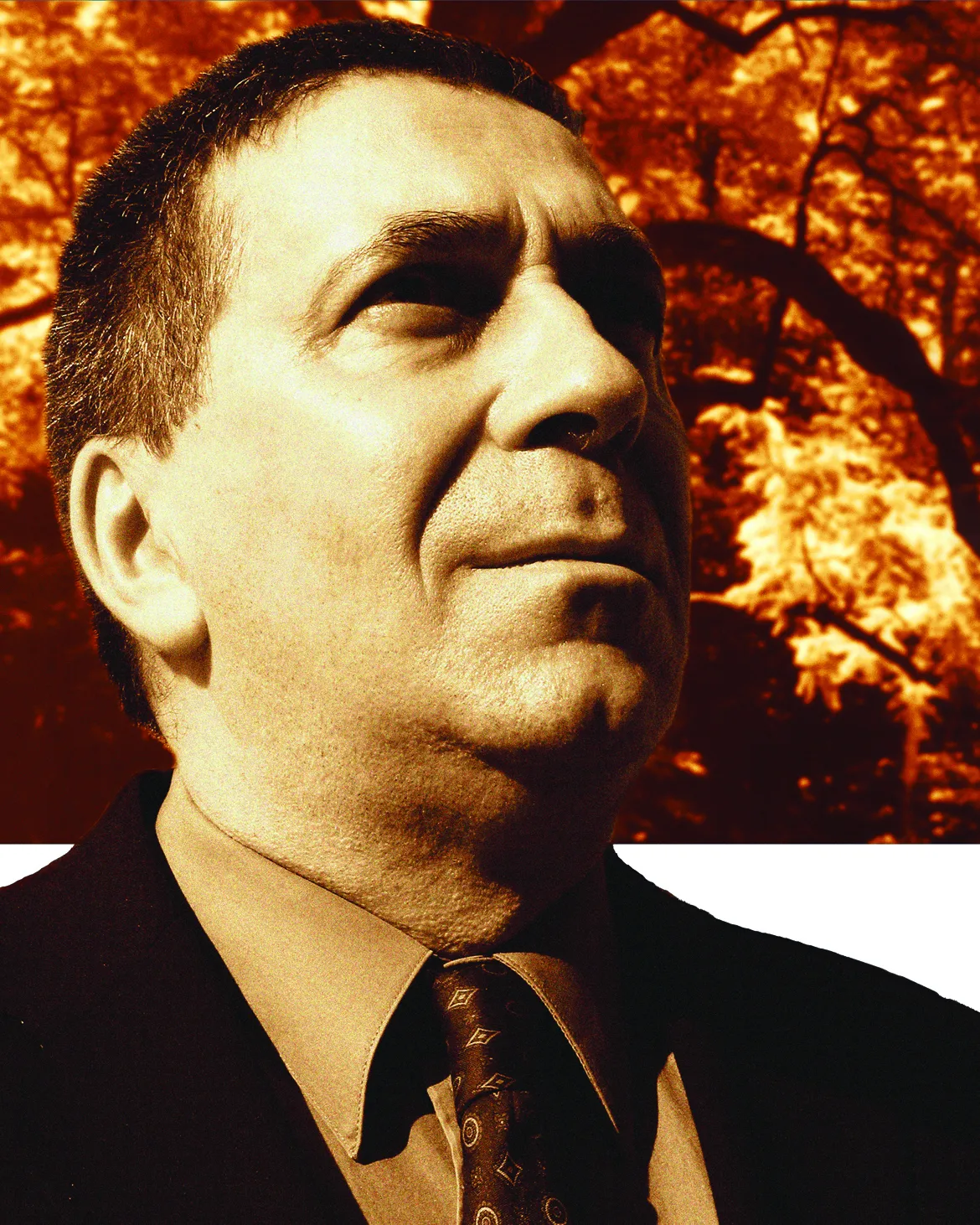 Lentement la beauté