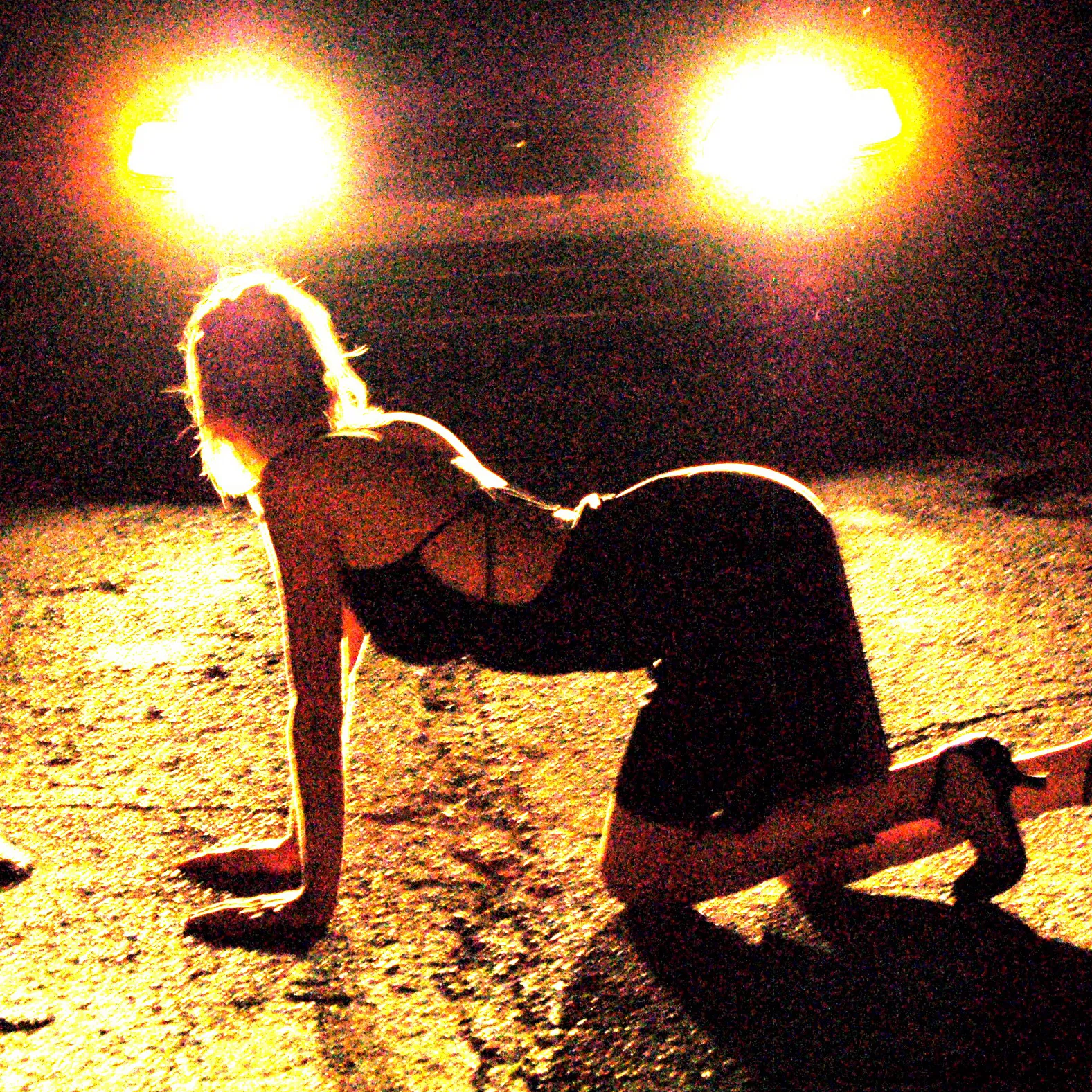 L’éblouissement du chevreuil