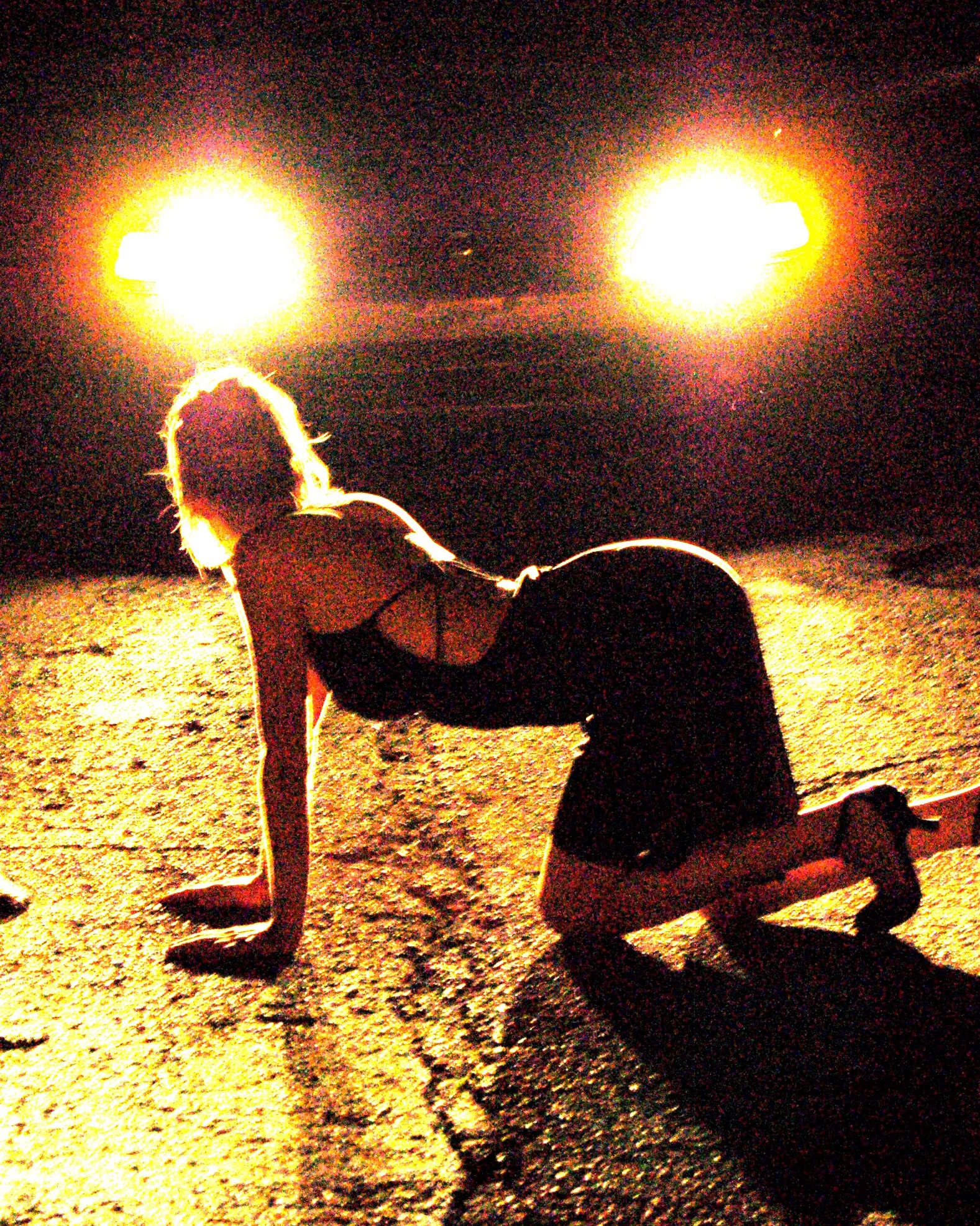 L’éblouissement du chevreuil