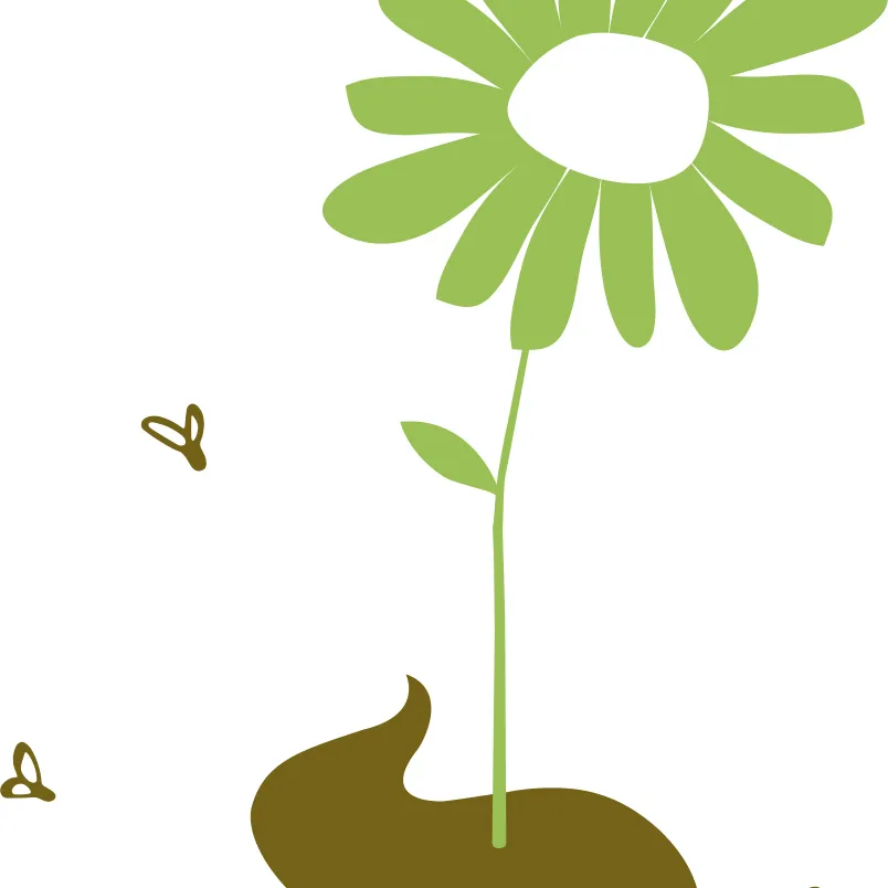 Lucidité passagère