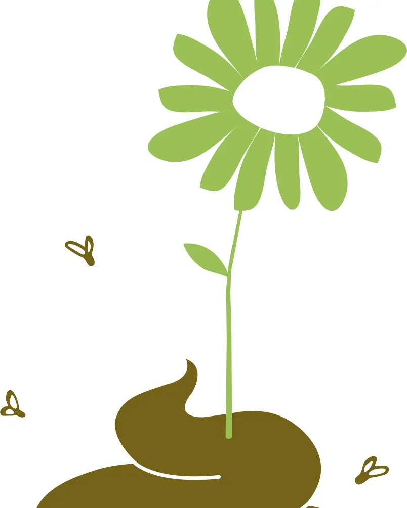 Lucidité passagère