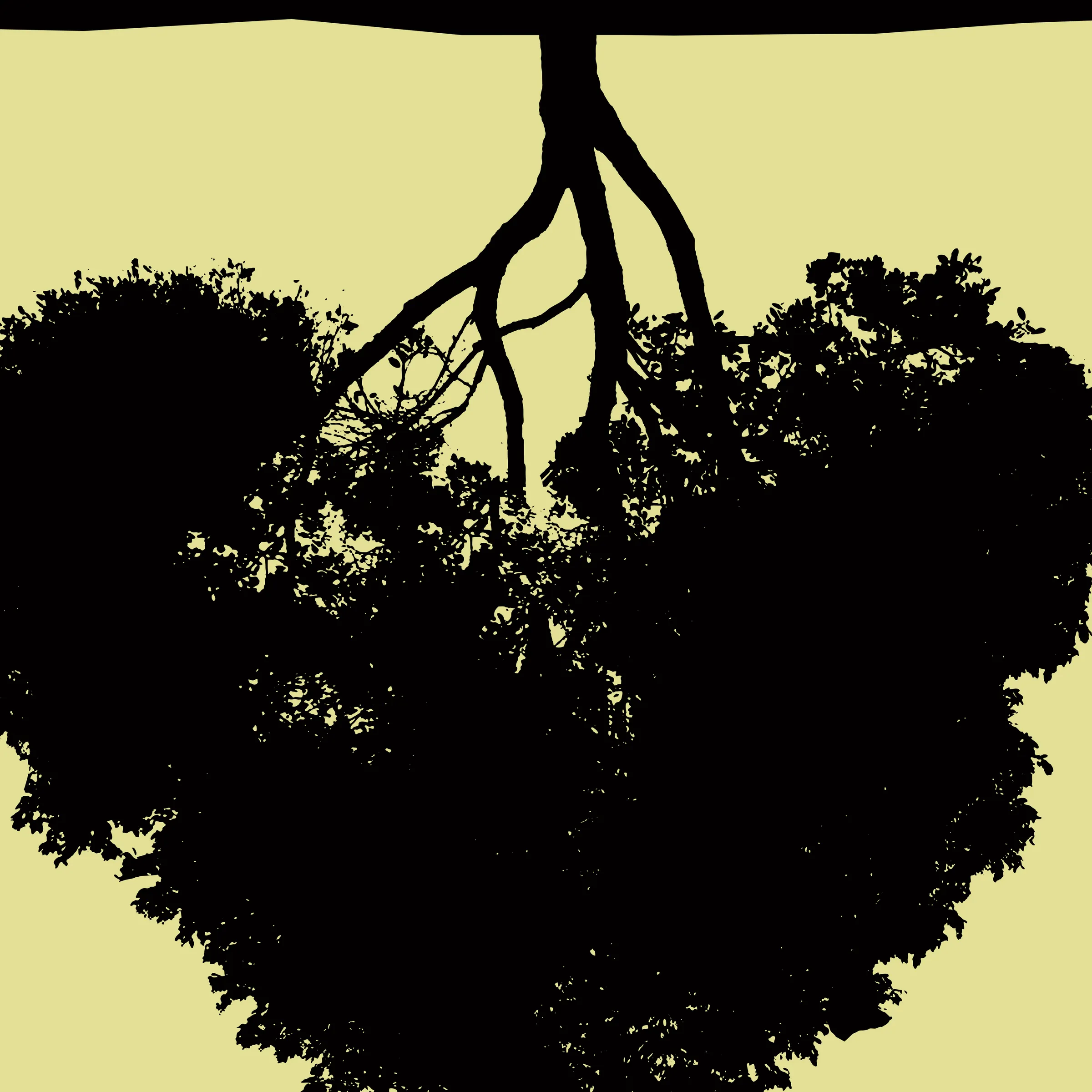 Tout est encore possible