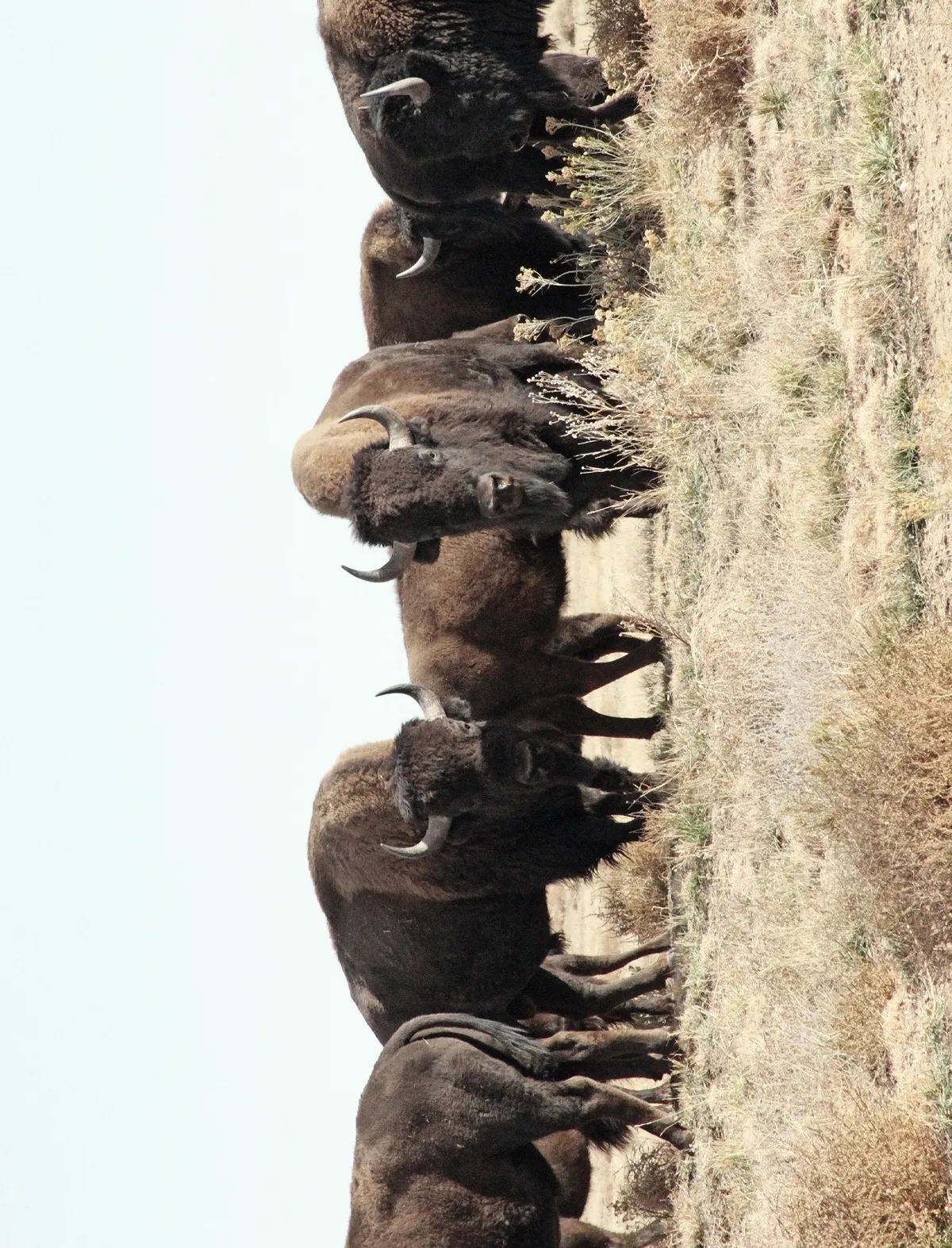 Classe de maitre : Yvette Nolan