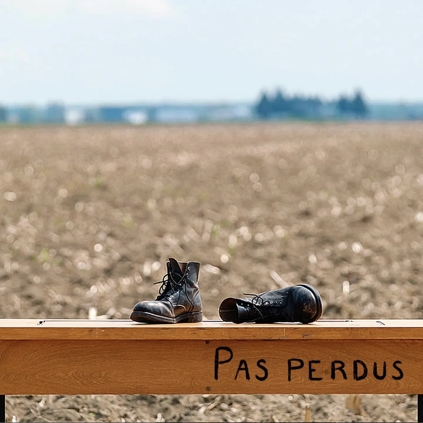 Une adaptation télévisuelle pour Pas perdus | documentaires scéniques